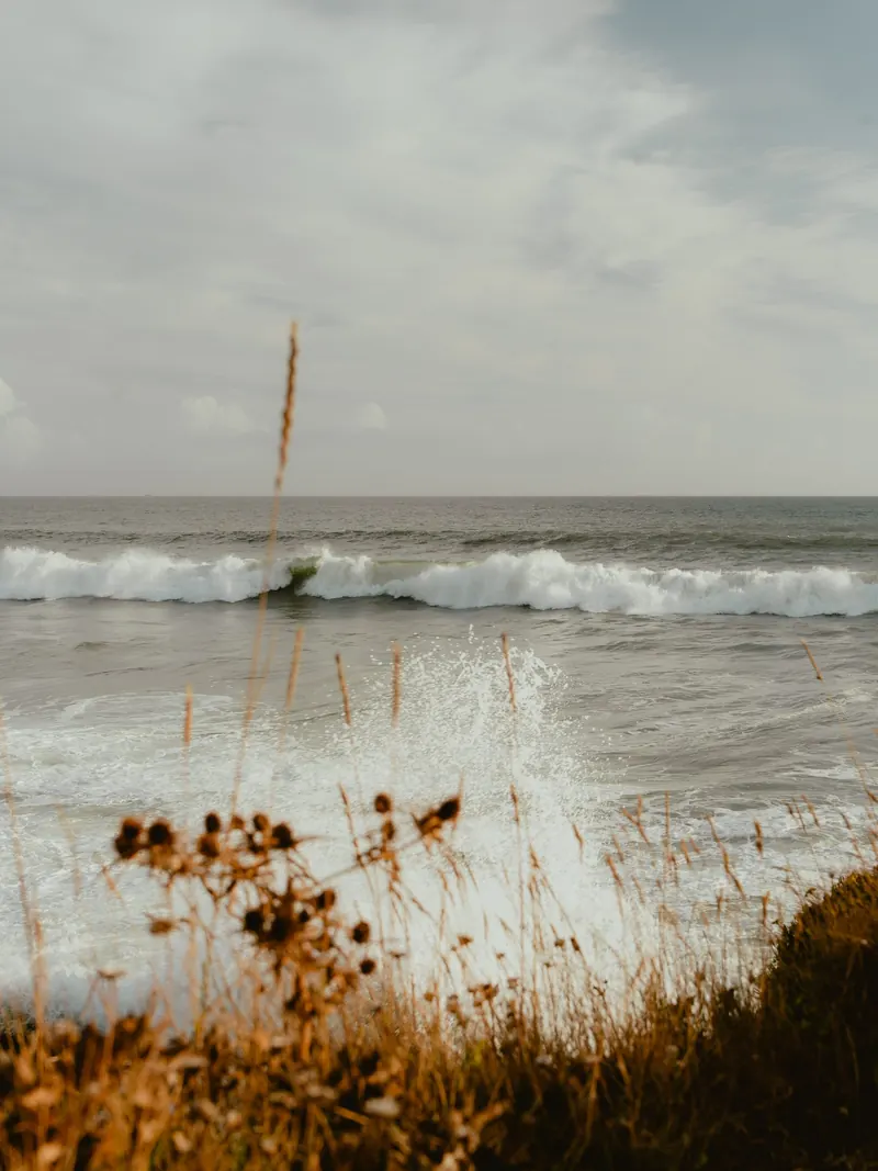 Une vague se brise en gerbe d’écume, vue à travers les herbes sèches du haut de la côte ; au large, une ligne de rouleaux.