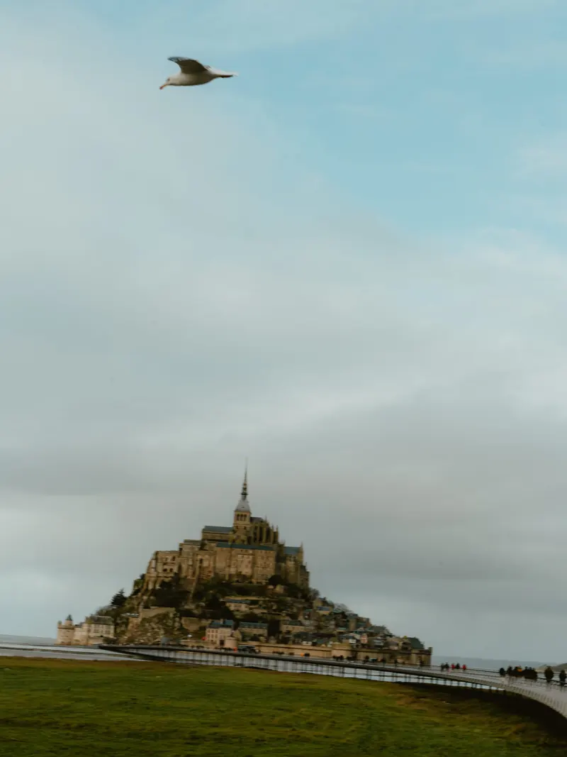Un oiseau de mer passe dans un grand ciel pâle au-dessus du Mont-Saint-Michel ; en bas, des promeneurs sur la passerelle.
