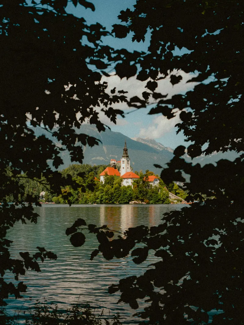 L’île du lac de Bled et son église, vues à travers une trouée dans un feuillage sombre, au-dessus de l’eau.