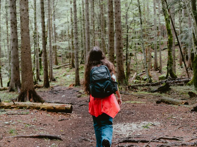 Une randonneuse en veste rouge, sac à dos noir, s’éloigne sur un sentier entre les grands troncs d’une forêt de conifères.
